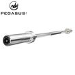 Ολυμπιακή Μπάρα 1500mm*28mm (13kg) 390318136